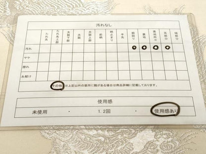 平和屋着物◎六通柄袋帯　唐獅子　金銀糸　正絹　逸品　CABF9685ev