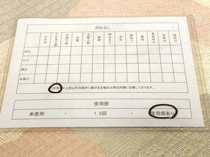 平和屋着物◎伝統工芸佐賀錦　六通柄袋帯　遠山文　金銀糸　正絹　逸品　CABF9697ev