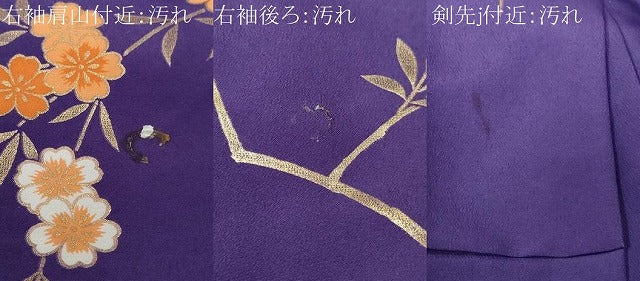 平和屋着物■訪問着　流水枝垂れ桜文　暈し染め　金彩　胴抜き仕立て　洗える着物　CABF9843ev