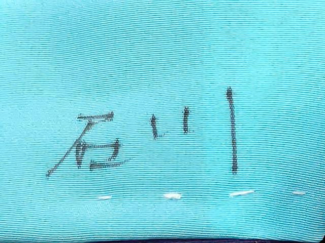 平和屋着物■訪問着　流水枝垂れ桜文　暈し染め　金彩　胴抜き仕立て　洗える着物　CABF9843ev