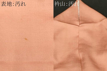 平和屋着物■中国三大刺繍　スワトウ刺繍　訪問着　螺鈿　蔦の葉草花文　暈し染め　金銀彩　鈴乃屋扱い　正絹　逸品　CABF9864ev