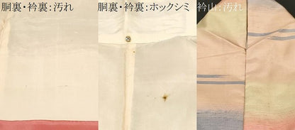 平和屋着物■上質な紬　霞文　正絹　逸品　CABF9963ev