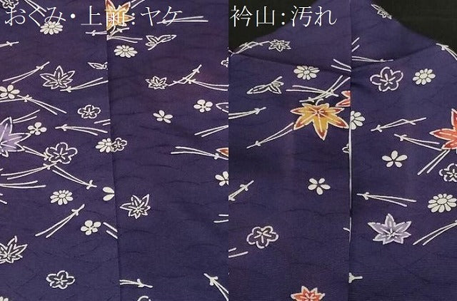 平和屋着物■上質な小紋　吹き寄せ文　正絹　逸品　CABF9983ev