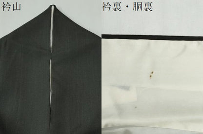 平和屋着物●訪問着　草花文　暈し染め　正絹　逸品　CABG0140yc