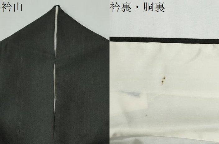 平和屋着物●訪問着　草花文　暈し染め　正絹　逸品　CABG0140yc