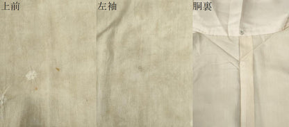 平和屋着物●訪問着　紬地　絞り　舞花文　金彩　正絹　逸品　CABG0166yc
