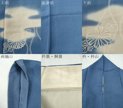 平和屋着物●中国三大刺繍　総相良刺繍　色留袖　霞立涌菊花文　暈し染め　鬼しぼ縮緬　正絹　逸品　CABG0377yc