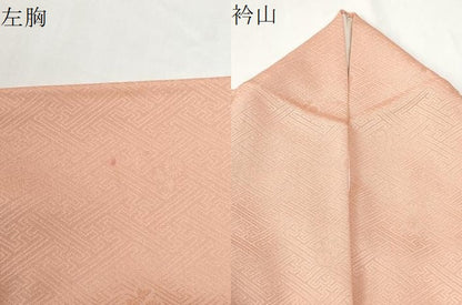 平和屋着物●上質な色無地　作家物　紗綾形草花地紋　虹色　正絹　逸品　CABG0392yc