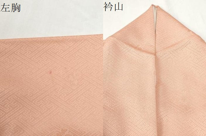 平和屋着物●上質な色無地　作家物　紗綾形草花地紋　虹色　正絹　逸品　CABG0392yc