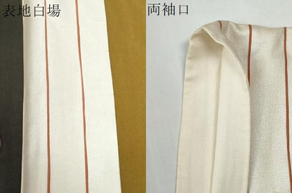平和屋着物●訪問着　水玉　横縞　千鳥格子　ロング丈　正絹　逸品　CABG0466yc