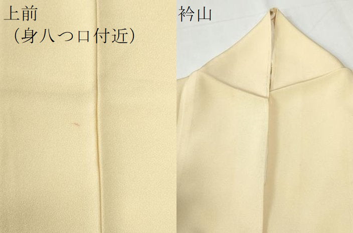 平和屋着物●本加賀友禅作家　金津五雄　色留袖　枝花文　正絹　逸品　CABG0467yc