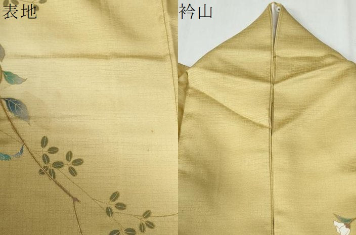 平和屋着物●訪問着　枝花文　暈し染め　金彩　正絹　逸品　CABG0624yc