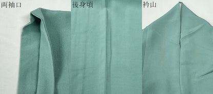 平和屋着物●上質な色無地　ワンポイント　枝花文　青磁色　ロング丈　正絹　逸品　CABG0635yc