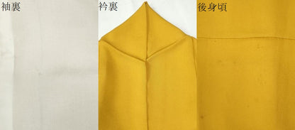 平和屋着物●豪華振袖　薔薇　草花文　暈し染め　金彩　正絹　逸品　CABG0732yc