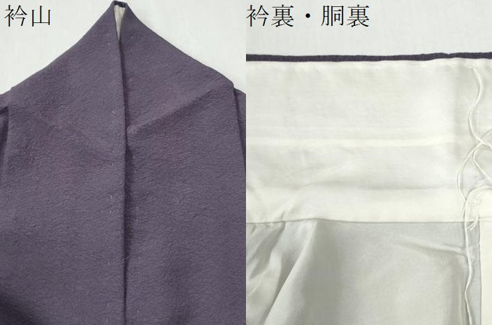 平和屋着物●東京友禅　菅有鬼一　色留訪問着　胡蝶蘭　金彩　正絹　逸品　CABG0778yc