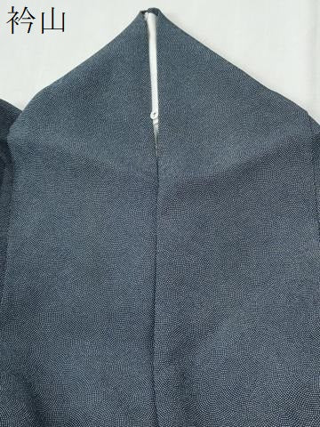 平和屋着物●江戸小紋　鮫小紋柄　正絹　逸品　CABG0802yc