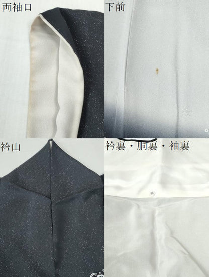 平和屋着物●訪問着　花蝶唐草文　ラインストーン　暈し染め　銀通し地　正絹　逸品　CABG0819yc