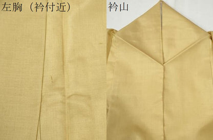 平和屋着物●本場染大島紬　色無地　浅黄色　正絹　逸品　CABG0879yc