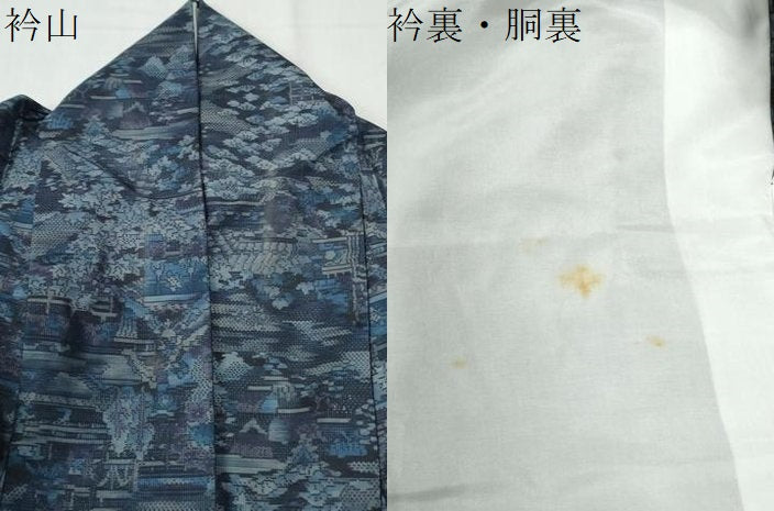 平和屋着物●都喜ヱ門　本場大島紬　新山里旅情　藤絹織物謹製　証紙付き　正絹　逸品　CABG0969yc