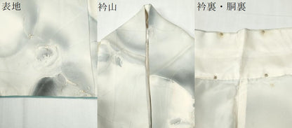 平和屋着物●上質な小紋　地紋起こし　枝花文　暈し染め　正絹　逸品　CABG1000yc