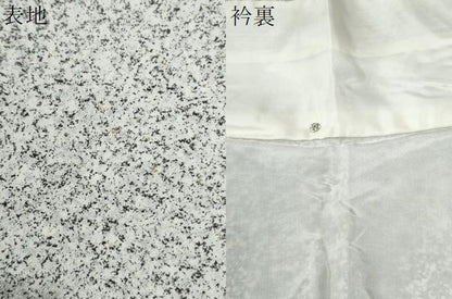 平和屋着物●訪問着　流水舞蝶文　たたき染め　金銀彩　正絹　逸品　CABG1049yc
