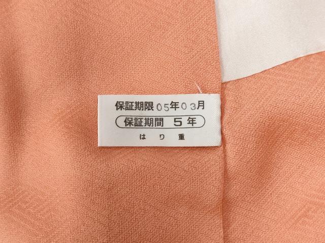 平和屋着物●中国三大刺繍　スワトウ刺繍　総刺繍　訪問着　鳳凰亀甲花唐草文　暈し染め　正絹　逸品　未使用　CABG1109yc