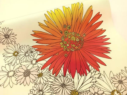 平和屋着物●塩瀬　九寸開き名古屋帯　手描き　菊花文　金彩　正絹　逸品　CABG1650vp