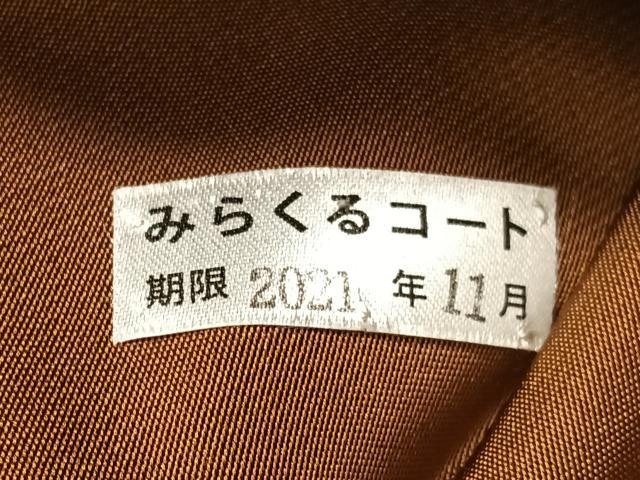 平和屋着物●京都西陣おおば　大庭圭价　大庭左由夫　九寸名古屋帯　葡萄蔦の葉文　正絹　逸品　CABG1654vp