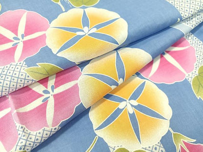 平和屋着物∴夏物　浴衣　トンボ　朝顔　綿　逸品　CABG1991vp