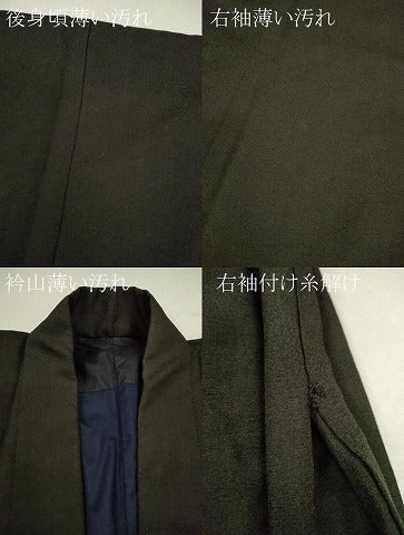 平和屋着物■上質なお召 霞吉祥地紋 正絹 逸品 CABG2004ze