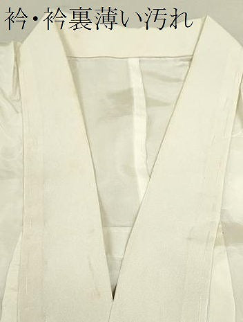 平和屋着物■長襦袢 無双仕立て 舞梅文 洗える着物 CABG2009ze