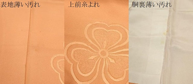 平和屋着物■無地絵羽訪問着 総刺繍 舞花文 赤香色 正絹 逸品 CABG2031ze