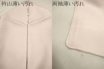 平和屋着物■色留訪問着 寿光織 曲水の宴 暈し染め 金糸 正絹 逸品 CABG2038ze