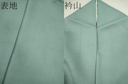平和屋着物●京加賀友禅　百貫達雄監修　色無地　草花地紋　水浅葱色　正絹　逸品　CABG2117ze