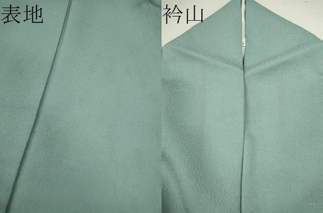 平和屋着物●京加賀友禅　百貫達雄監修　色無地　草花地紋　水浅葱色　正絹　逸品　CABG2117ze