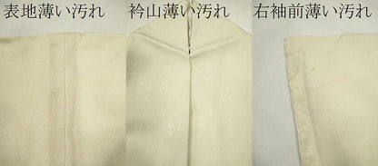平和屋着物■上質な色無地 箔散らし 象牙色 正絹 逸品 CABG2204ze