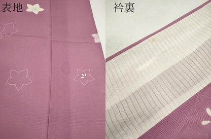 平和屋着物＊夏物 訪問着 絽 舞花文 正絹 逸品 CABG2218ze