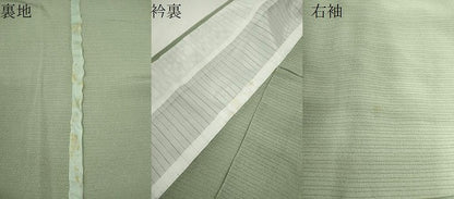 平和屋着物＊本加賀友禅作家　梶山伸監修　夏物　色無地　絽縮緬　柳鼠色　正絹　逸品　CABG2241ze