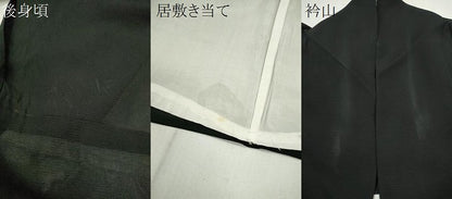 平和屋着物＊夏物 訪問着 絽 草花文 暈し染め 黒地 金彩 正絹 逸品 CABG2255ze