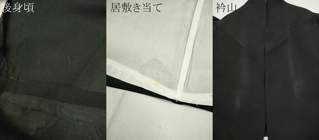 平和屋着物＊夏物 訪問着 絽 草花文 暈し染め 黒地 金彩 正絹 逸品 CABG2255ze