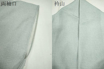 平和屋着物＊夏物 江戸小紋 変わり絽 吉祥文 正絹 逸品 CABG2258ze