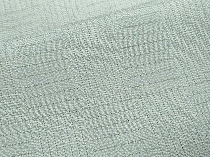 平和屋着物＊夏物 江戸小紋 変わり絽 吉祥文 正絹 逸品 CABG2258ze
