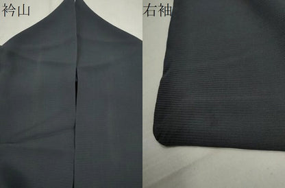 平和屋着物＊夏物 訪問着 絽 刺繍 草花文 金彩 正絹 逸品 CABG2266ze