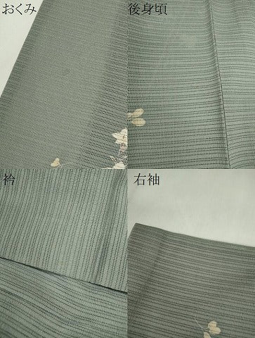 平和屋着物＊夏物 訪問着 変わり絽縮緬 枝花文 ますいわ屋扱い 正絹 逸品 CABG2271ze