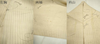 平和屋着物＊夏物　紗紬　手描き　トンボ　正絹　逸品　CABG2284ze