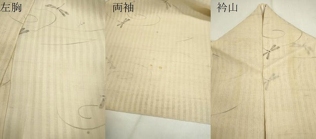 平和屋着物＊夏物　紗紬　手描き　トンボ　正絹　逸品　CABG2284ze
