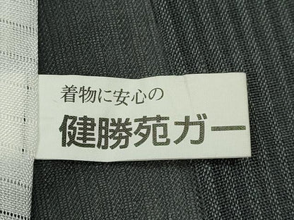 平和屋着物＊夏物　訪問着　紗紬　総刺繍　枝花文　健勝苑扱い　正絹　逸品　CABG2285ze