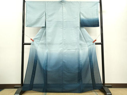 平和屋着物＊夏物　訪問着　紗　暈し染め　正絹　逸品　CABG2292ze