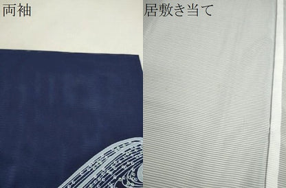 平和屋着物＊夏物　訪問着　絽　飛鶴立波鹿の子文　洗える着物　CABG2299ze