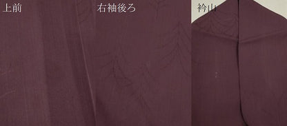 平和屋着物＊夏物　色無地　草木紋紗　似せ紫色　正絹　逸品　CABG2317ze